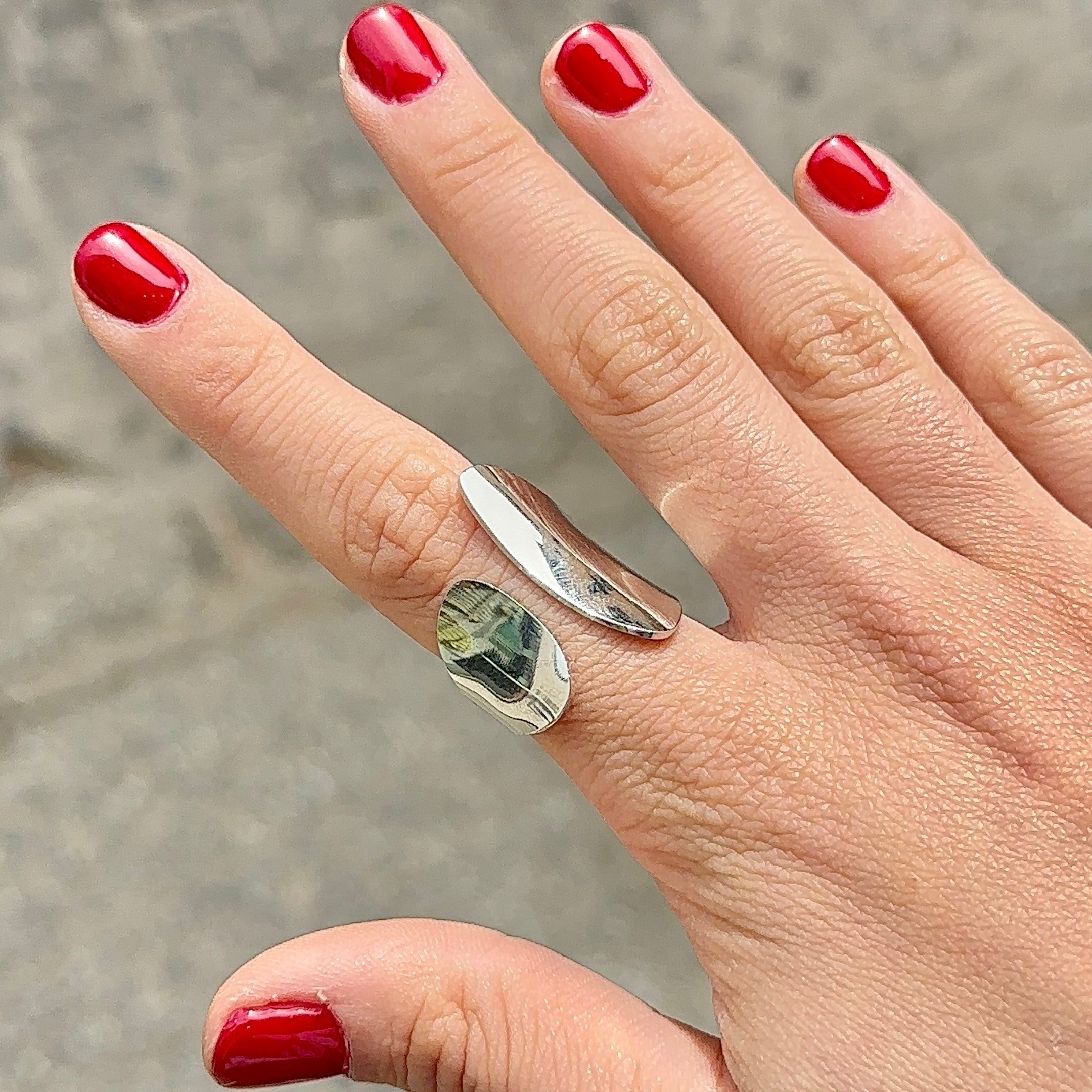 Anillo Bolonia
