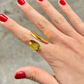 Anillo Bolonia