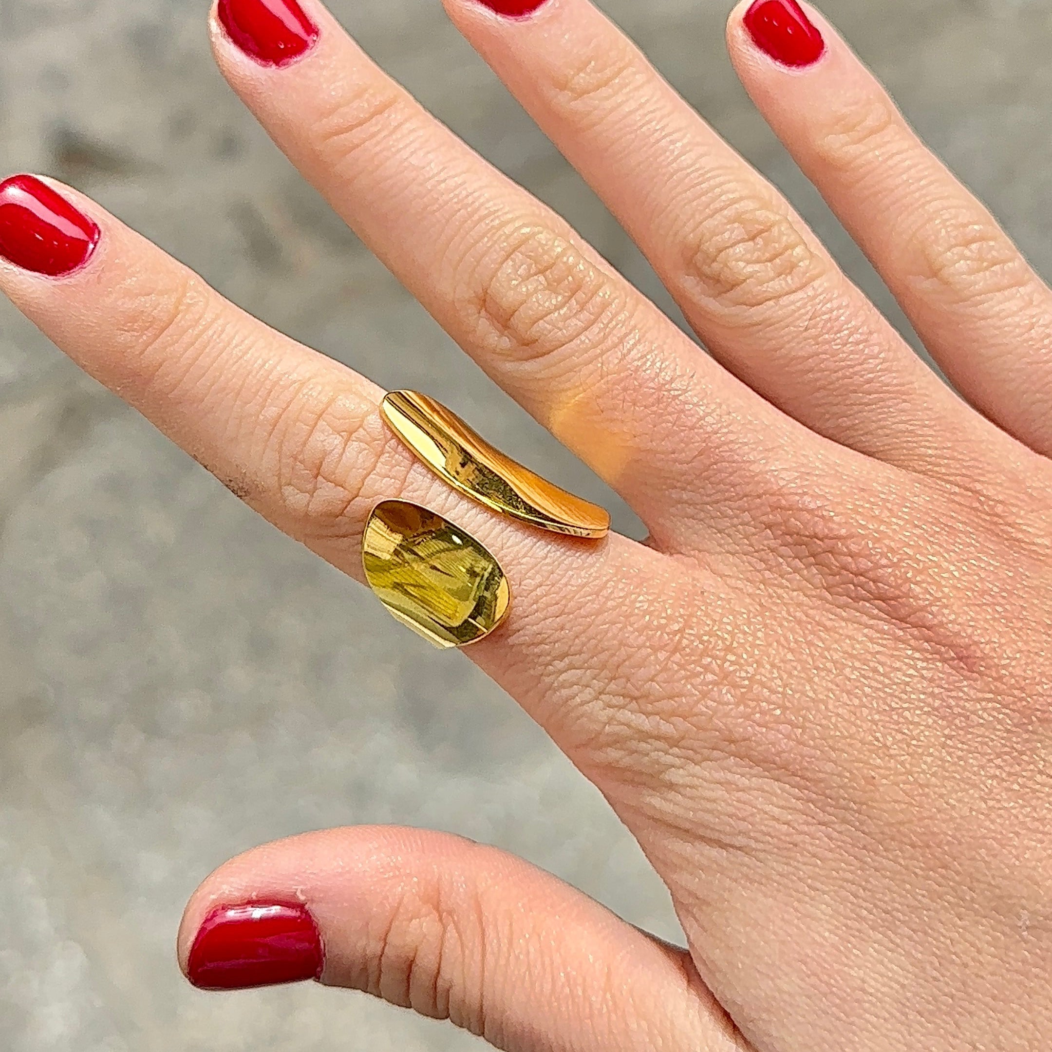 Anillo Bolonia
