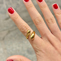 Anillo Turín