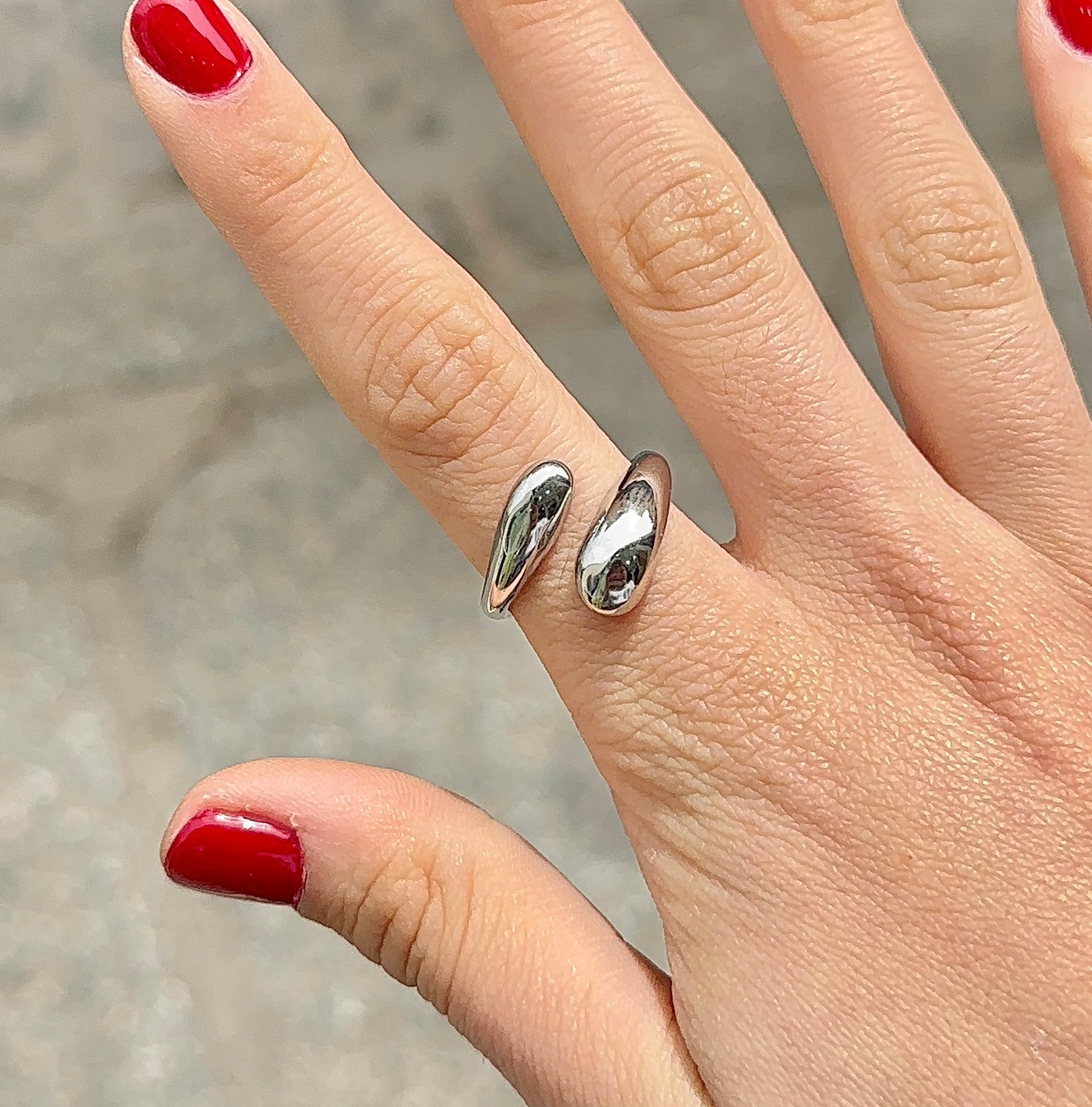Anillo Turín