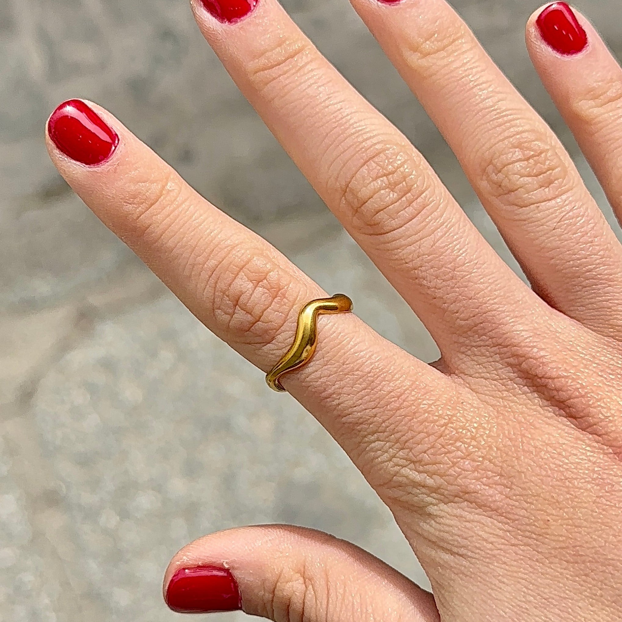 Anillo Niza