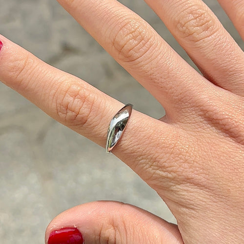 Anillo Boston