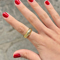 Anillo Viena