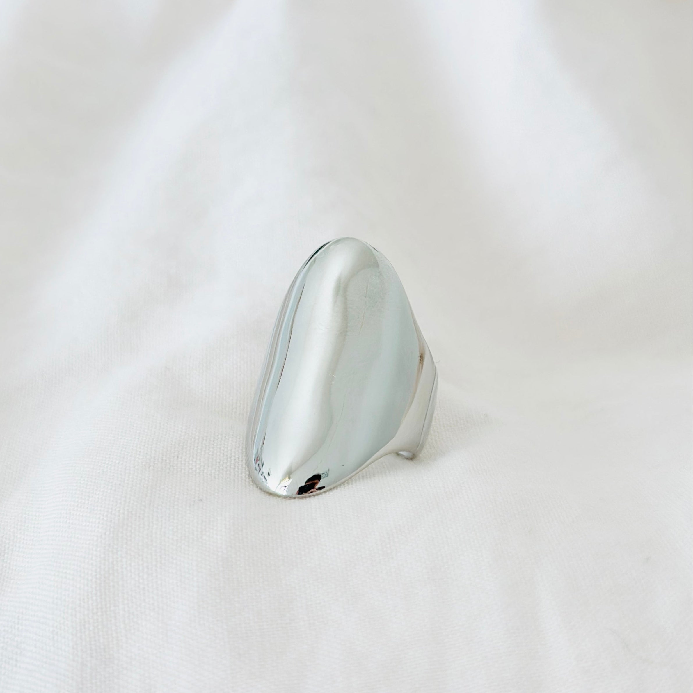 Anillo Turín